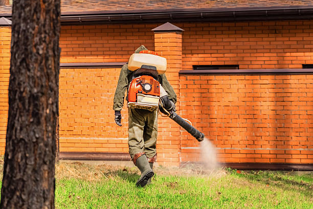 Trusted Cockroach Control service in Belen, NM - Nex Pest Control